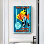 affiche bassin d'arcachon vintage