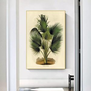 affiche botanique vintage palmier