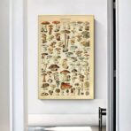 affiche champignon vintage