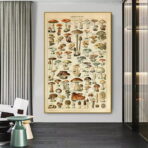 affiche champignon vintage