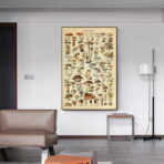 affiche champignon vintage