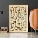 affiche champignon vintage