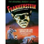 affiche film frankenstein 1931
