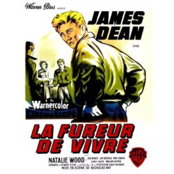 affiche film la fureur de vivre