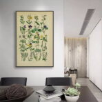 affiche herbier vintage