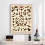 affiche insecte vintage