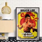 affiche la fureur du dragon