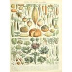 affiche légumes ancien