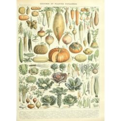 old vegetable poster