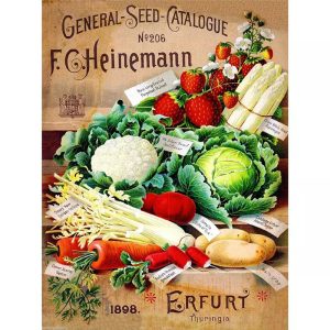 affiche legumes vintage