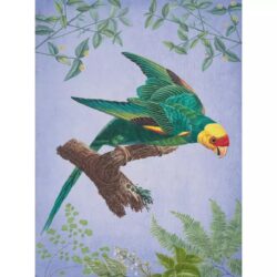 vintage bird poster 1