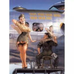 affiche pin up aviation