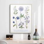 affiche plante vintage