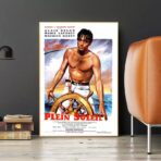 affiche plein soleil