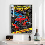 affiche spiderman vintage