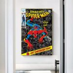 affiche spiderman vintage
