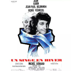 affiche un singe en hiver