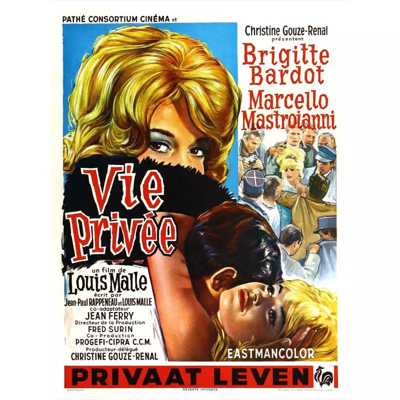 affiche-vie-privee_1 affiche vie privée