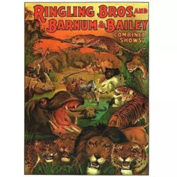 Vintage Poster <br> Animals
