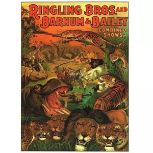 affiche vintage animaux