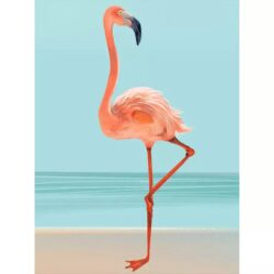 affiche vintage flamant rose