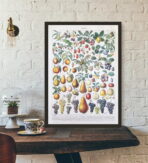 affiche vintage fruit