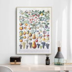 affiche vintage fruit