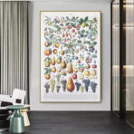 affiche vintage fruit