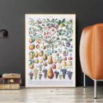 affiche vintage fruit