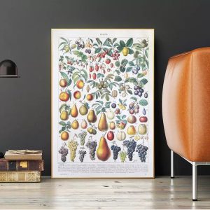 affiche vintage fruit