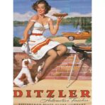 vintage pin up poster 1