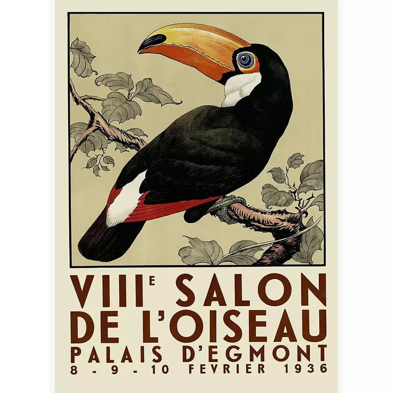 vintage toucan poster vintage toucan poster