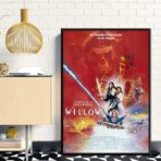 affiche willow