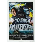 frankenstein junior affiche
