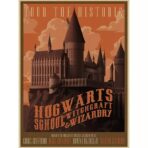 harry potter vintage poster