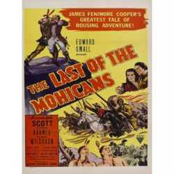 le dernier des mohicans affiche