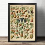 poster fruit