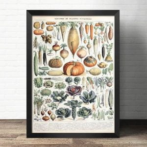 poster légumes vintage