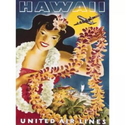 poster vintage hawaii