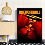 affiche irreversible