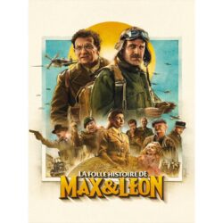 affiche la folle histoire de max et leon