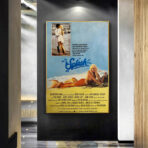 affiche splash