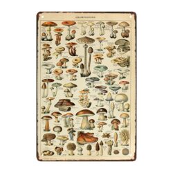 plaque métal champignon
