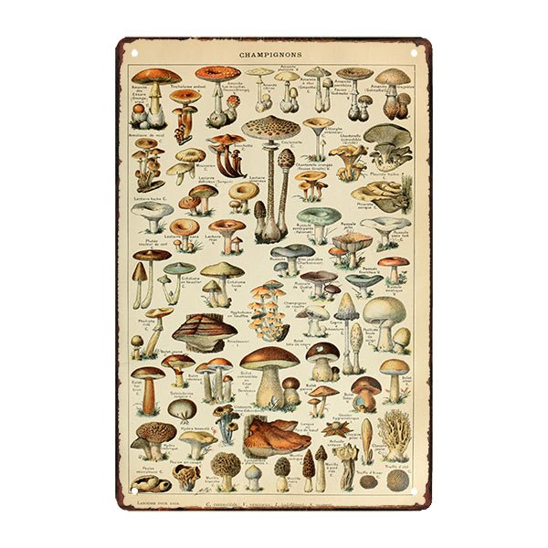 plaque-metal-champignon plaque métal champignon