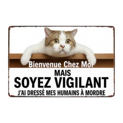 plaque métal rigolote chat